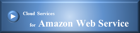 for Amazon Web Service